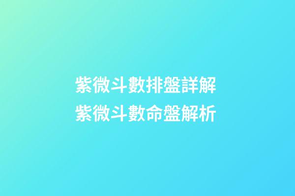 紫微斗數排盤詳解 紫微斗數命盤解析-第1張-觀點-玄機派